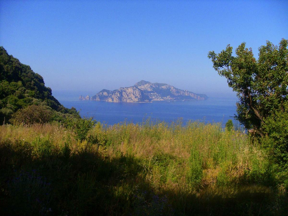 Il Paradiso Degli Dei Agerola Exterior photo
